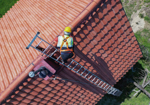 Roof Moss and Algae Removal in Mission, TX